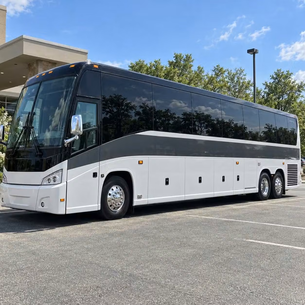 kingman reliable transportation all season long